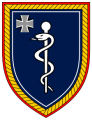 Medical Leadership Command, Germany.png